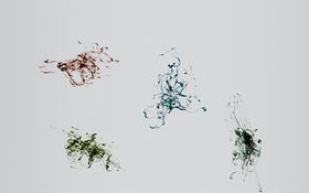 Between Groove And Grove – four abstract streaks of color in red, blue and green on a light grey background