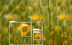 Finding Flow – blurred meadow with orange wildflowers, overlaid with white object-detection frames and folder icons