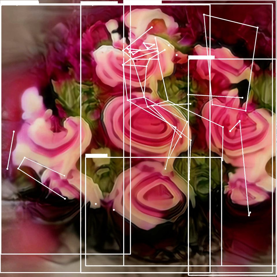 close-up of a red blossom with drooping petals, overlaid with white object-detection frames and lines