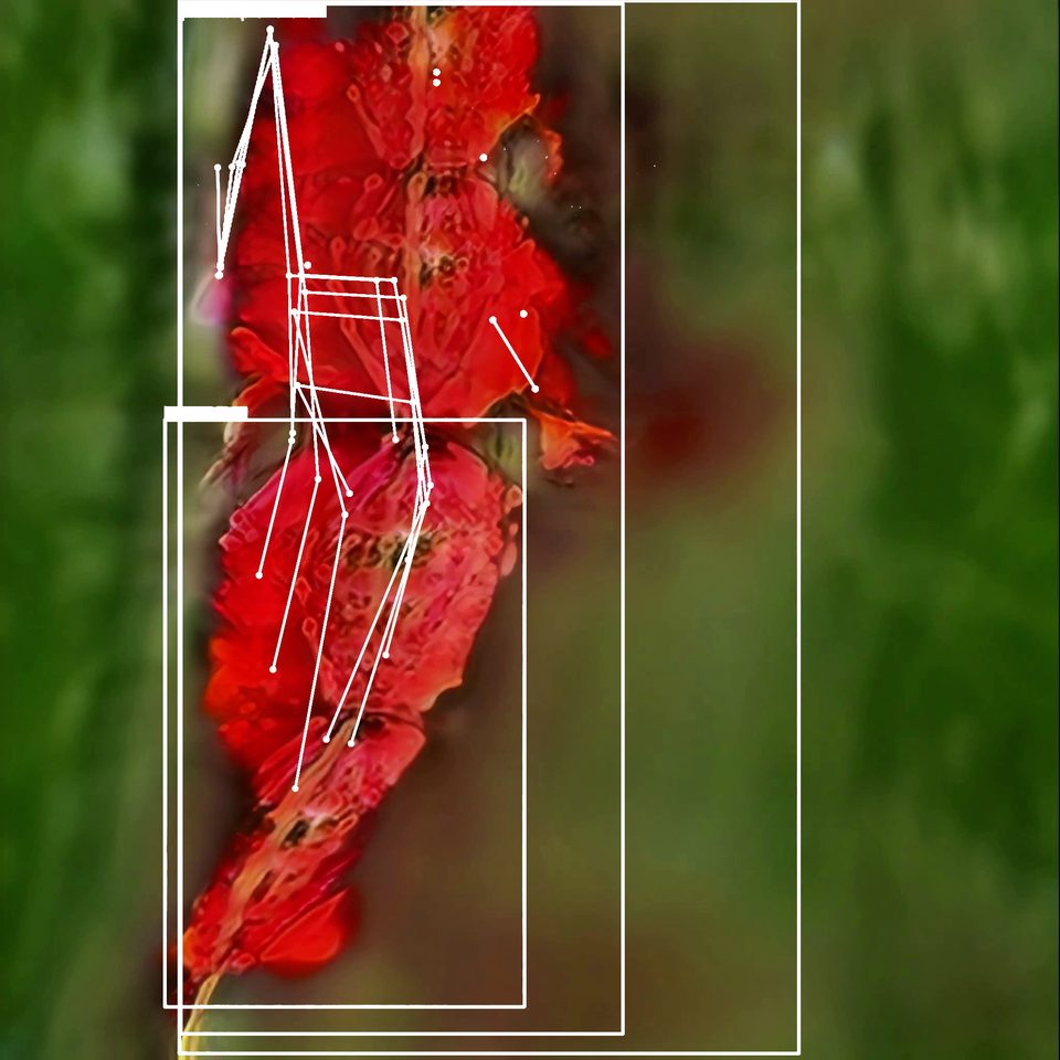 close-up of pink rose blossoms, overlaid with a white pose-detection skeleton