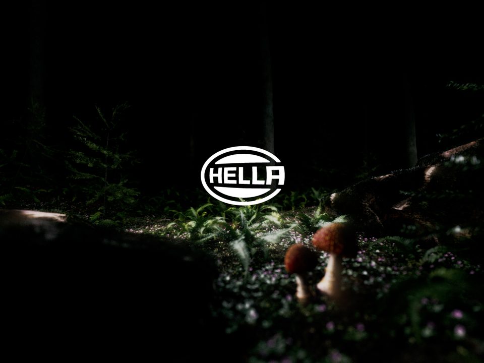dark forest floor with a glowing HELLA logo, surrounded by illuminated ferns and mushrooms