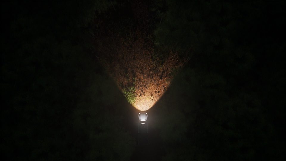 aerial view of a vehicle in a dark forest, its headlights casting a cone-shaped beam onto the forest floor
